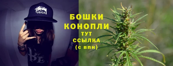 spice Балахна