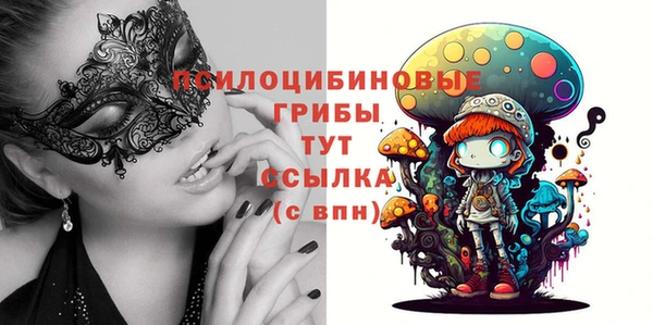 таблы Армянск