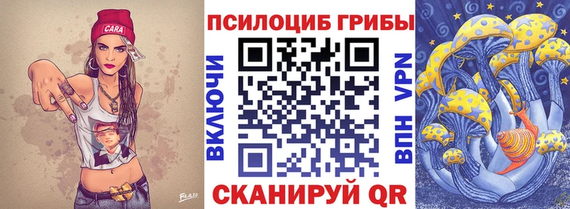 Псилоцибиновые грибы ЛСД  где купить   OMG зеркало  Балей 